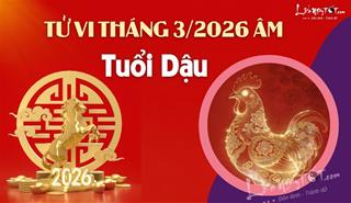 Tử vi tháng 3/2026 tuổi Dậu âm lịch: Thời điểm vàng để bứt phá mạnh mẽ