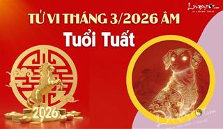 Tử vi tháng 3/2026 tuổi Tuất âm lịch: Đối mặt với một giai đoạn khá cam go