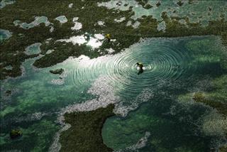 Tử vi tuần mới của 12 con giáp (9 - 15/3/2026): Dần gặp rào cản, Hợi viên mãn