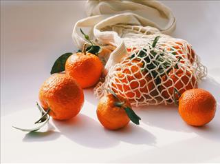 Tử vi tuần mới của 12 cung hoàng đạo (9 - 15/3/2026): Kim Ngưu hoài niệm, Bảo Bình thực dụng