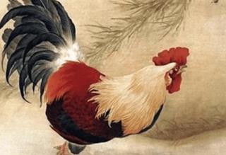 Đụng độ HẠN lớn, 4 con giáp vướng đủ chuyện xui xẻo, áp lực bộn bề trong tuần này (9-15/3)