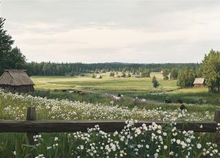 Tử vi thứ 2 ngày 6/4/2026 của 12 cung hoàng đạo: Nhân Mã nhân ái, Bạch Dương lạc quan