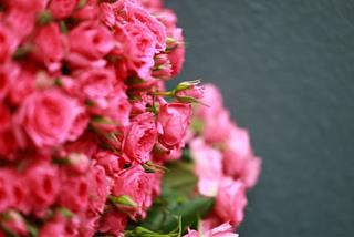 Tử vi thứ 2 ngày 27/4/2026 của 12 con giáp: Hợi hạnh phúc, Mão có lộc