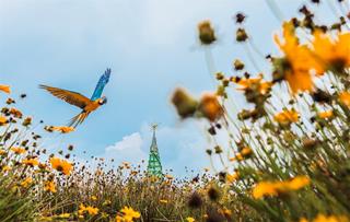 Tử vi thứ 5 ngày 16/4/2026 của 12 cung hoàng đạo: Bảo Bình thờ ơ, Thiên Bình tỉnh táo