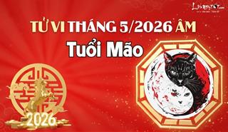 Tử vi tháng 5/2026 tuổi Mão âm lịch: Khó khăn dần nhường chỗ cho cuộc sống khởi sắc