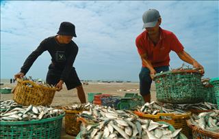 Tử vi Thứ 3 ngày 21/4/2026 của 12 cung hoàng đạo: Xử Nữ do dự, Sư Tử năng động