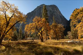 Tử vi Thứ 4 ngày 22/4/2026 của 12 cung hoàng đạo: Sư Tử rực rỡ, Ma Kết lười biếng