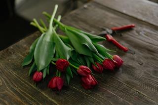 Tử vi tuần mới của 12 cung hoàng đạo (27/4 – 3/5): Song Tử có tiền, Thiên Bình linh hoạt