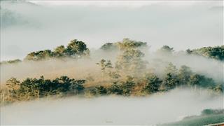 Tử vi thứ 2 ngày 13/4/2026 của 12 cung hoàng đạo: Sư Tử sáng dạ, Kim Ngưu cởi mở