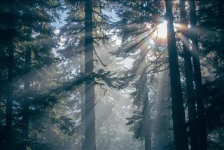 Tử vi thứ 5 ngày 23/4/2026 của 12 con giáp: Tị nghĩ thoáng, Mùi rực rỡ