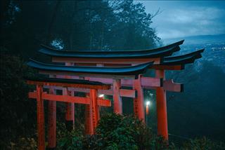 Tử vi Thứ 6 ngày 10/4/2026 của 12 cung hoàng đạo: Xử Nữ tỉ mỉ, Ma Kết tận tâm