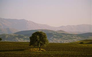 Tử vi thứ 7 ngày 25/4/2026 của 12 con giáp: Tị trì hoãn, Tý may mắn