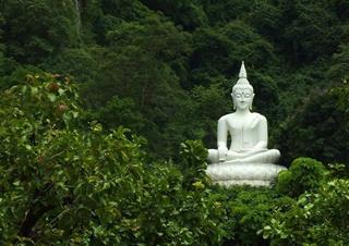 PHẬT dạy ở đời đừng THAM lam 2 thứ này kẻo hủy hoại cả một đời người