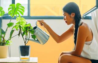 Định vị bản thân: Bạn mang linh hồn của thảo mộc nào tiết lộ điểm mạnh lớn nhất