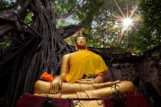 Hữu duyên đọc được 4 lời dạy HAY nhất của Đức Phật để đầu óc thông tuệ!