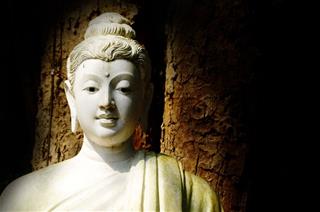 Đừng TIẾC nuối, Phật dạy rằng những thứ đã BỎ lỡ là thứ không thuộc về bạn, mất cái này được cái kia!