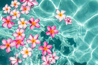 Tử vi thứ 7 ngày 11/7/2026 của 12 cung hoàng đạo: Nhân Mã vui vẻ, Hổ Cáp rối bời