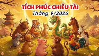 Muốn tích PHÚC chiêu TÀI ngay trong tháng 9, 12 con giáp cần vứt bỏ 3 thứ này càng sớm càng hiệu quả!