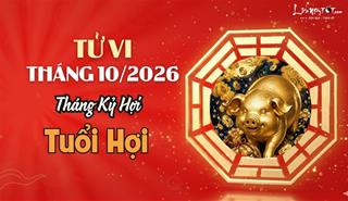 Tử vi tháng 10/2026 tuổi Hợi âm lịch: Vận trình đang tốt đừng tự làm khổ mình vì nghĩ nhiều