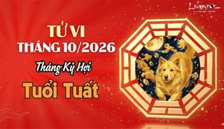 Tử vi tháng 10/2026 tuổi Tuất âm lịch: Tài lộc hanh thông nhưng cuộc sống vẫn vất vả