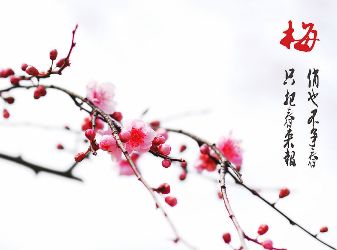 Những điều hợp, kỵ của Thổ trong bốn mùa