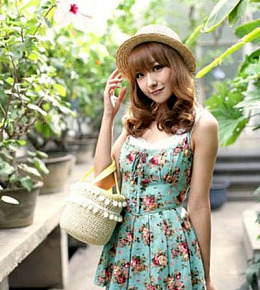 Sự nghiệp của người Hợi thuộc cung Sư Tử