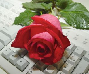 Tạo không khí lãng mạn cho tình yêu nhờ phong thủy