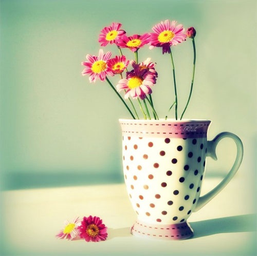 Lý giải cuộc đời của người có Thái Dương tọa mệnh