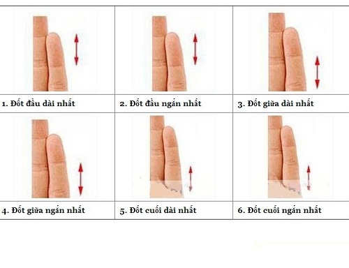 Khám phá tính cách và đời người qua đốt ngón tay