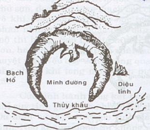 Diệu tinh trong phong thủy là gì?