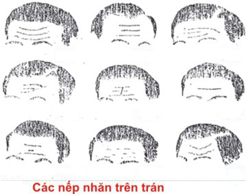 Hiểu đời hiểu người qua nếp nhăn trên mặt