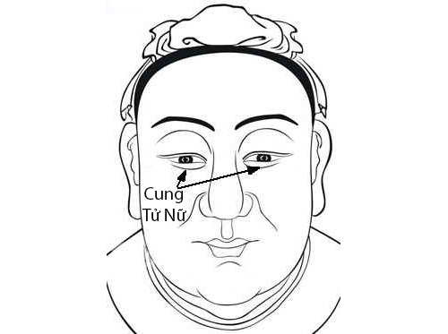 Cung Tử Nữ trong 12 cung tướng mặt