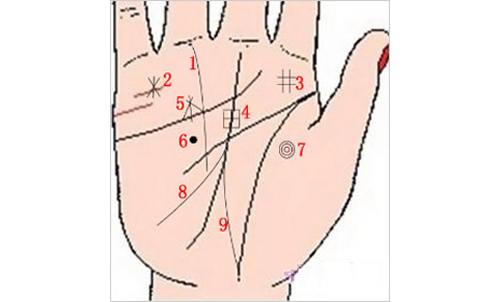 9 đường vân tay nhiều tiền lắm của, phú quý đuổi theo ầm ầm