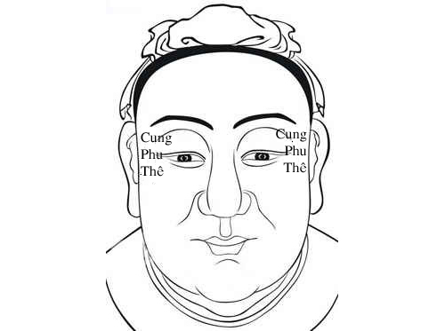 Cung Phu Thê trong 12 cung tướng mặt