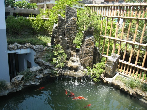 Những thế ao hồ họa nhiều hơn phúc