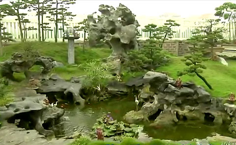 Bố trí tiểu cảnh hợp phong thủy cho ngôi nhà (phần cuối)