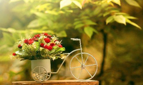 Tử vi Chủ nhật của 12 con giáp (27/9/2015)