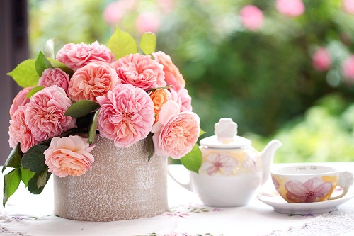 Tử vi thứ Tư của 12 con giáp (26/8/2015)