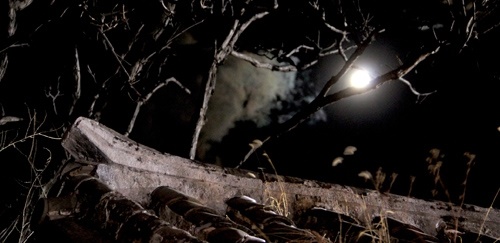 Ngôi làng người, ma sống chung