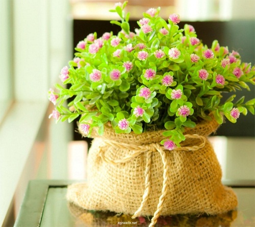 Tử vi Chủ nhật của 12 con giáp (13/9/2015)