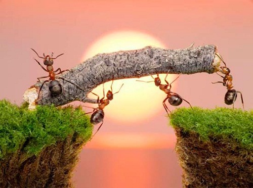 Tử vi thứ Hai của 12 con giáp (7/9/2015)