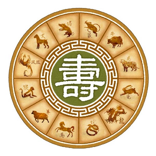 Hướng dẫn xem tử vi cho người mới bắt đầu (phần 1)