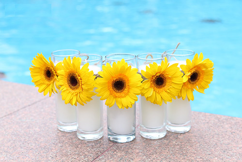 Vận trình của 12 chòm sao trong tiết Sương Giáng năm 2016