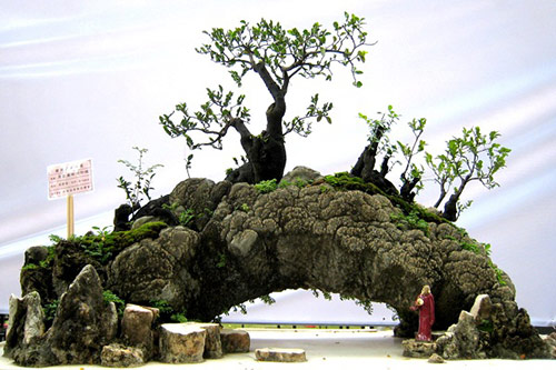 Thượng Thủy Thạch - Đá dùng làm hòn giả sơn mang tới sung túc, ấm no