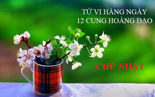 Tử vi Chủ Nhật ngày 9/10/2016 của 12 cung hoàng đạo