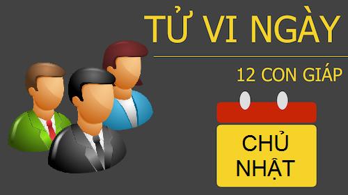 Tử vi Chủ nhật ngày 20/11/2016 của 12 con giáp
