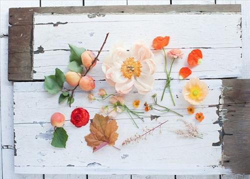 Tử vi tuần mới của 12 cung hoàng đạo (21/11-27/11/2016)