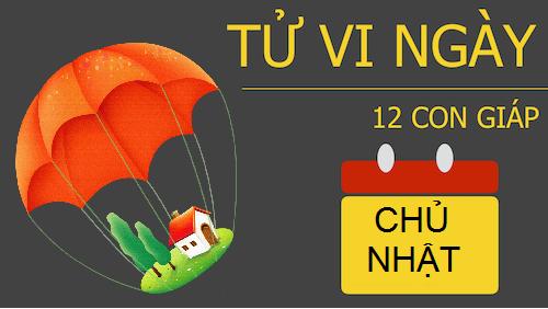 Tử vi Chủ nhật ngày 27/11/2016 của 12 con giáp