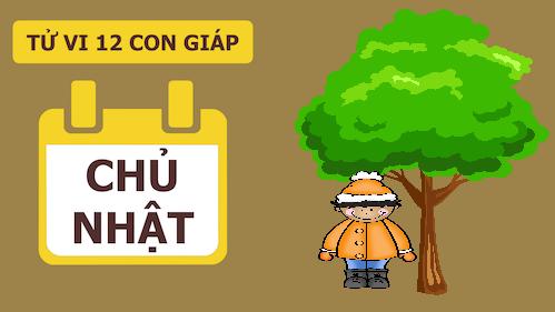 Tử vi Chủ nhật ngày 13/11/2016 của 12 con giáp