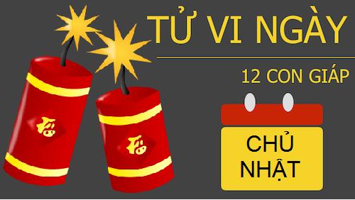 Tử vi Chủ Nhật ngày 01/01/2017 của 12 con giáp